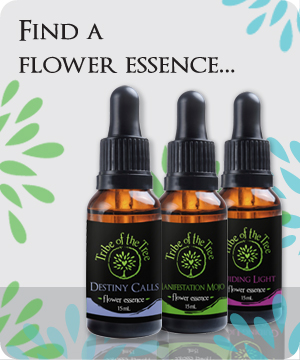 Find a Flower Essence